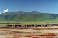 Ngoro-Ngoro Crater